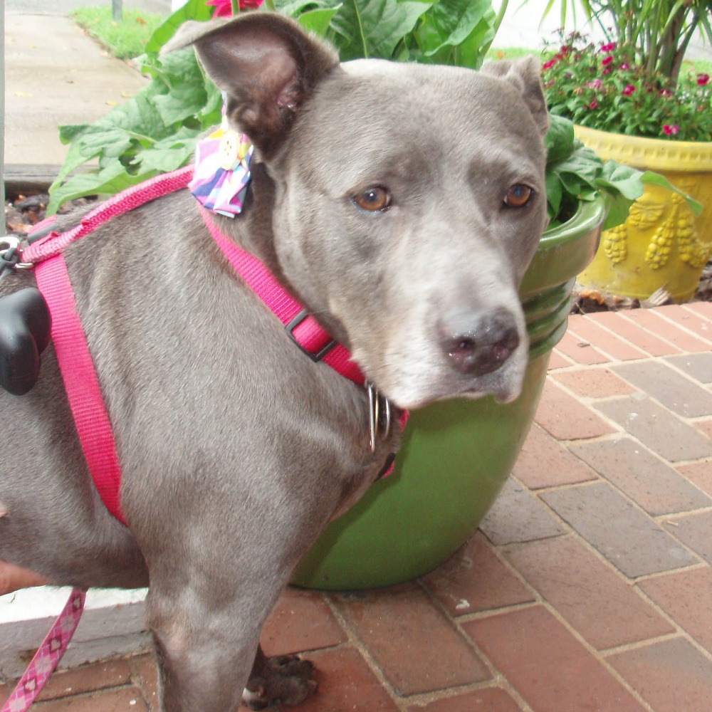 Meet your Posher, Kim